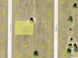 24 Chinaberry Way Property Photo 2