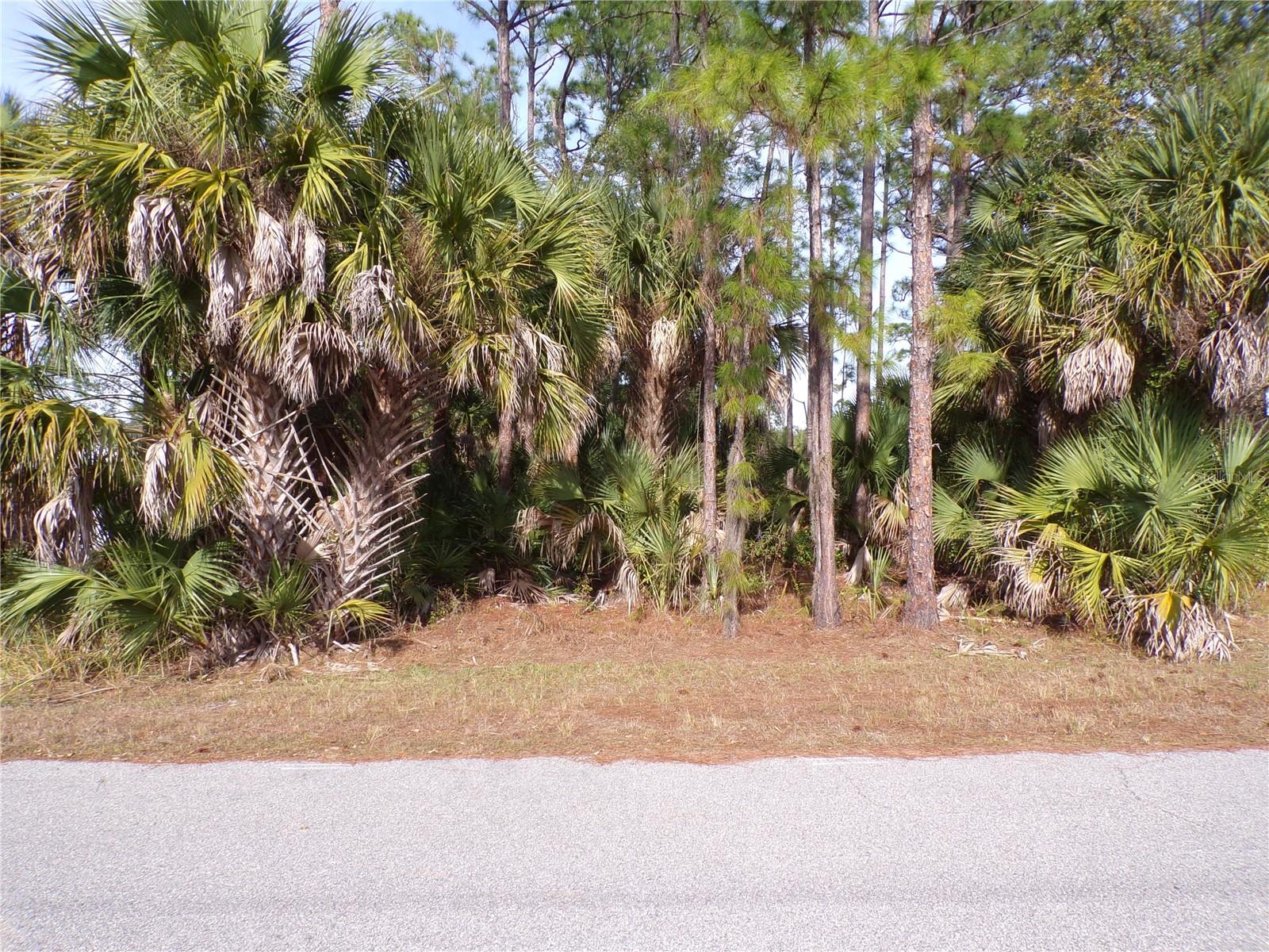 EVANGELINA LN Property Photo 1