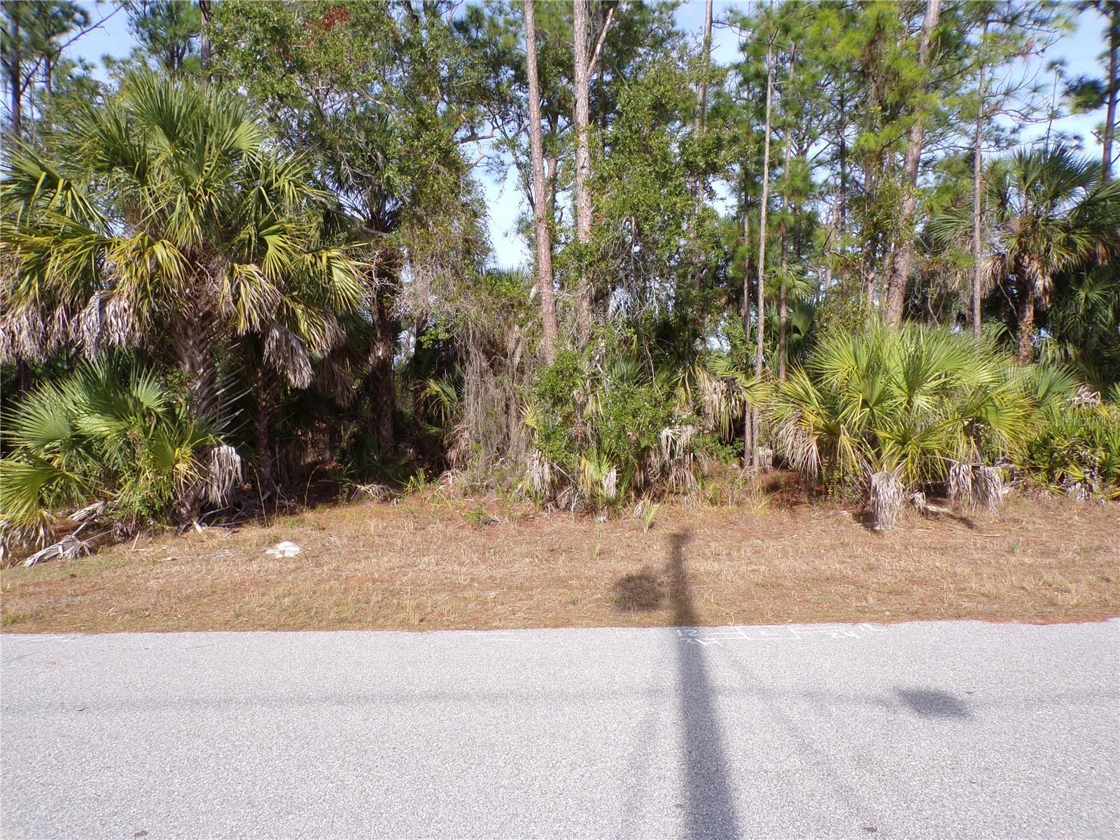 Evangelina Ln Property Photo 5