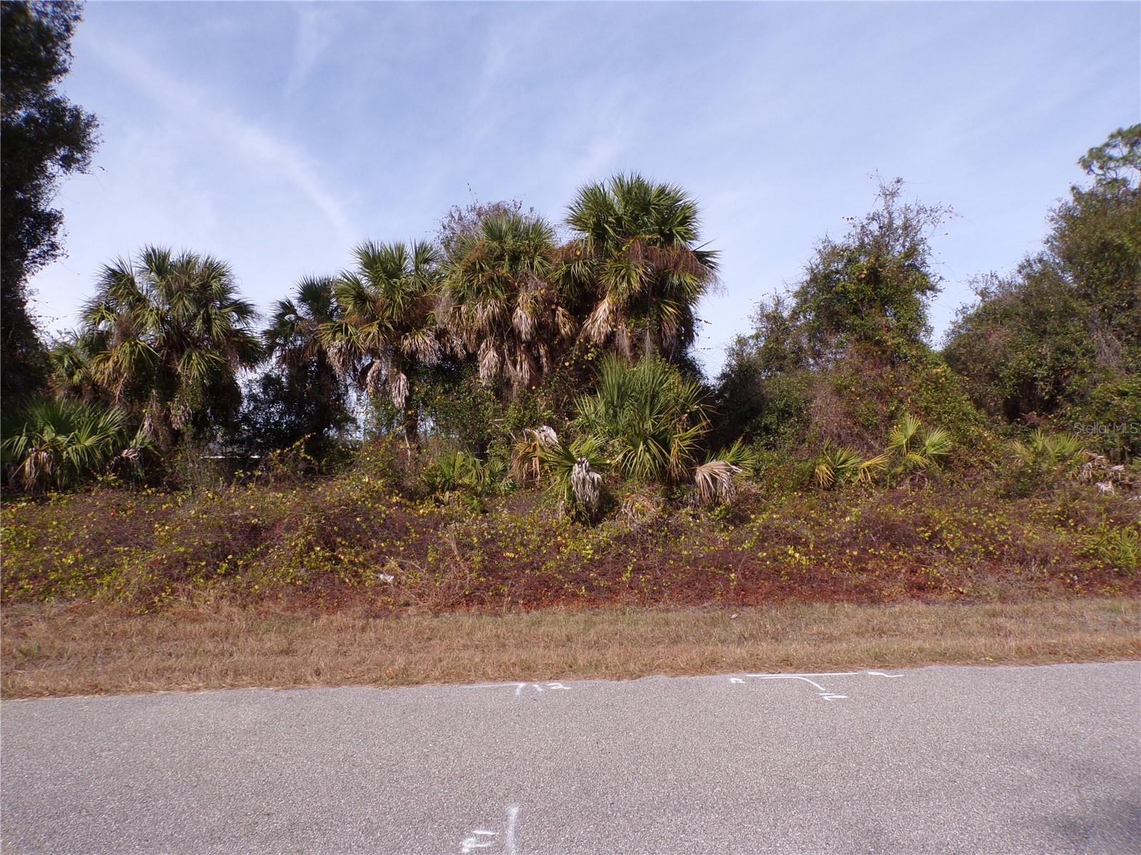 Brewster Rd Property Photo 2