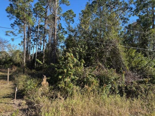 13636 Sulky Dr Property Photo 4
