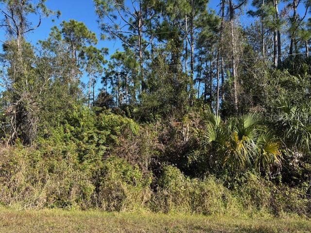 13636 Sulky Dr Property Photo 5