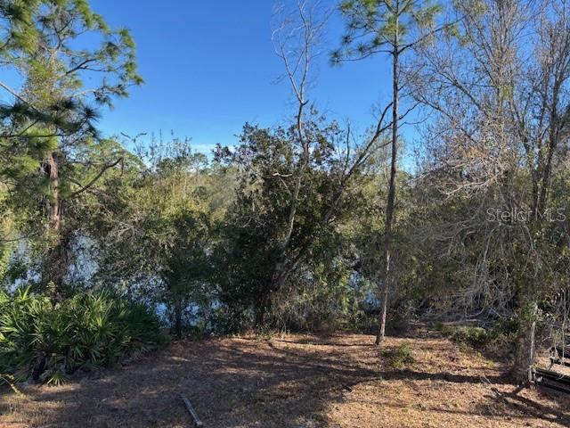 13636 Sulky Dr Property Photo 6