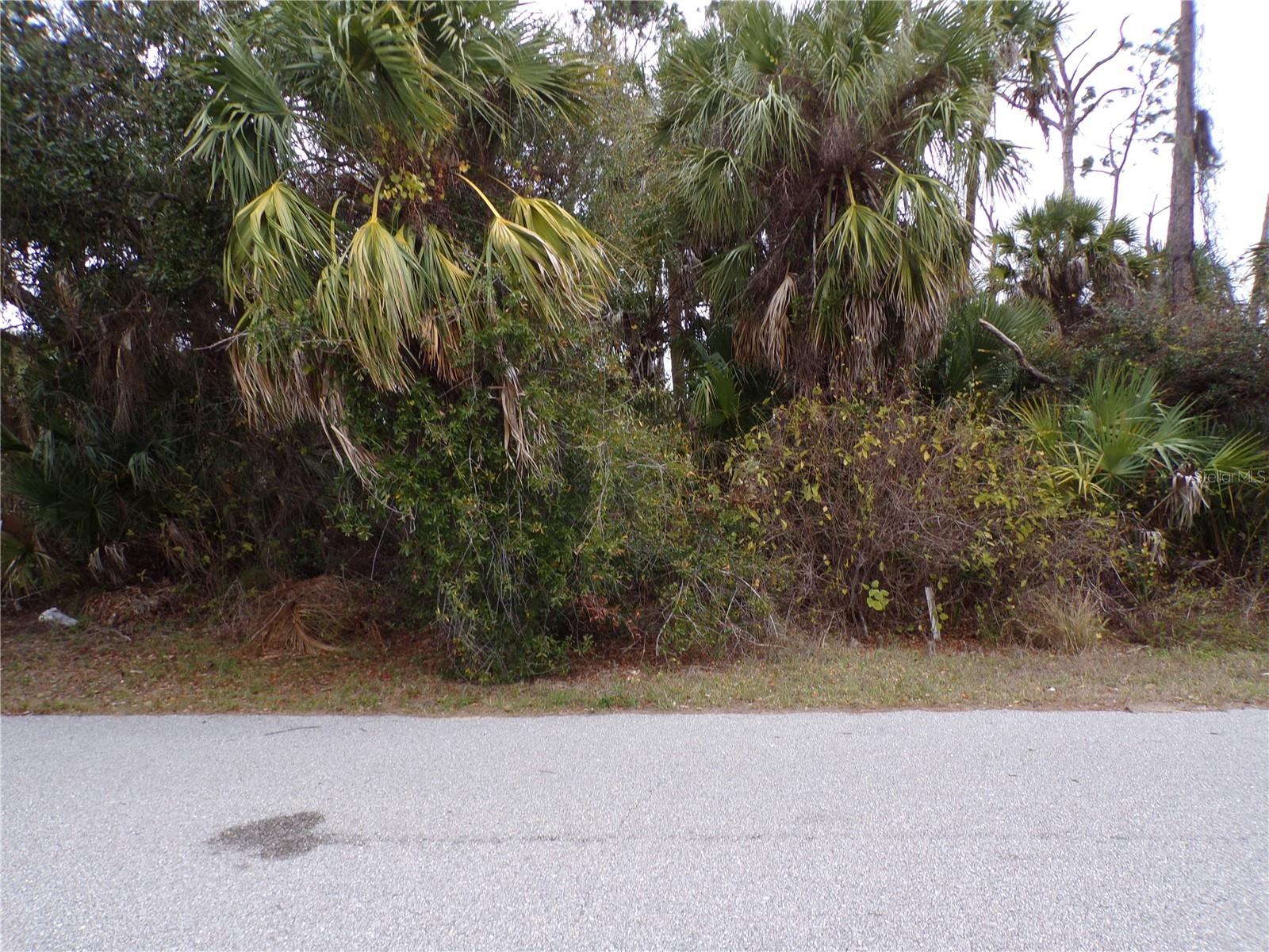 MUSIC LN Property Photo 1