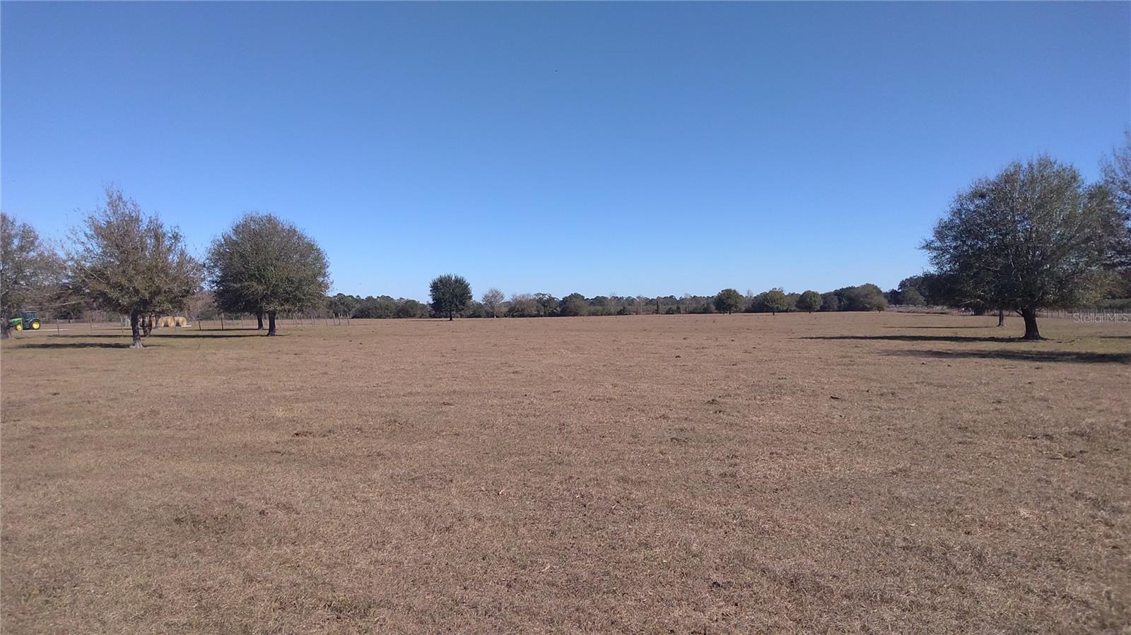 12051 Avon Park Cut Off Rd Property Photo 6