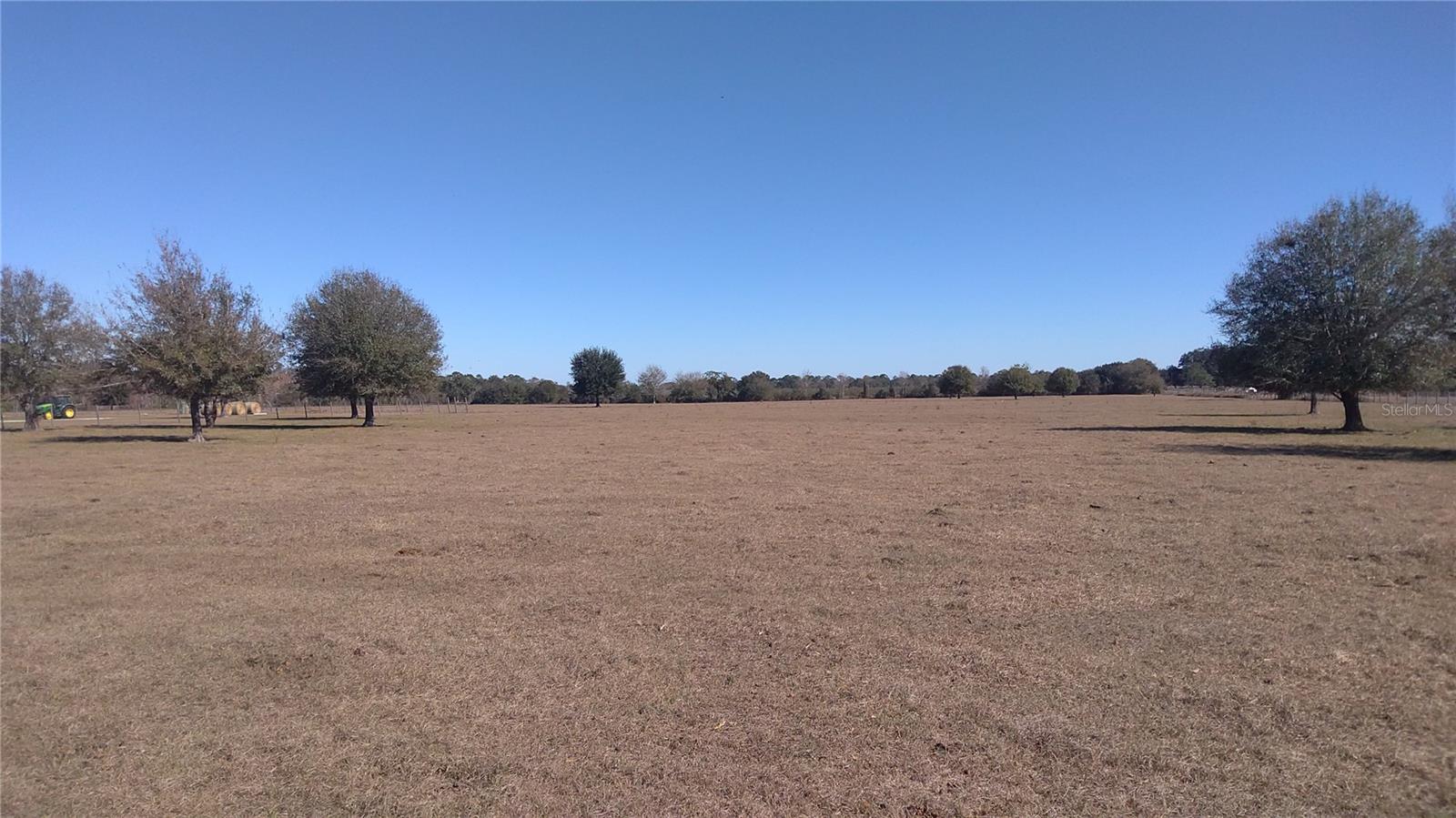 12051 Avon Park Cut Off Rd Property Photo 7