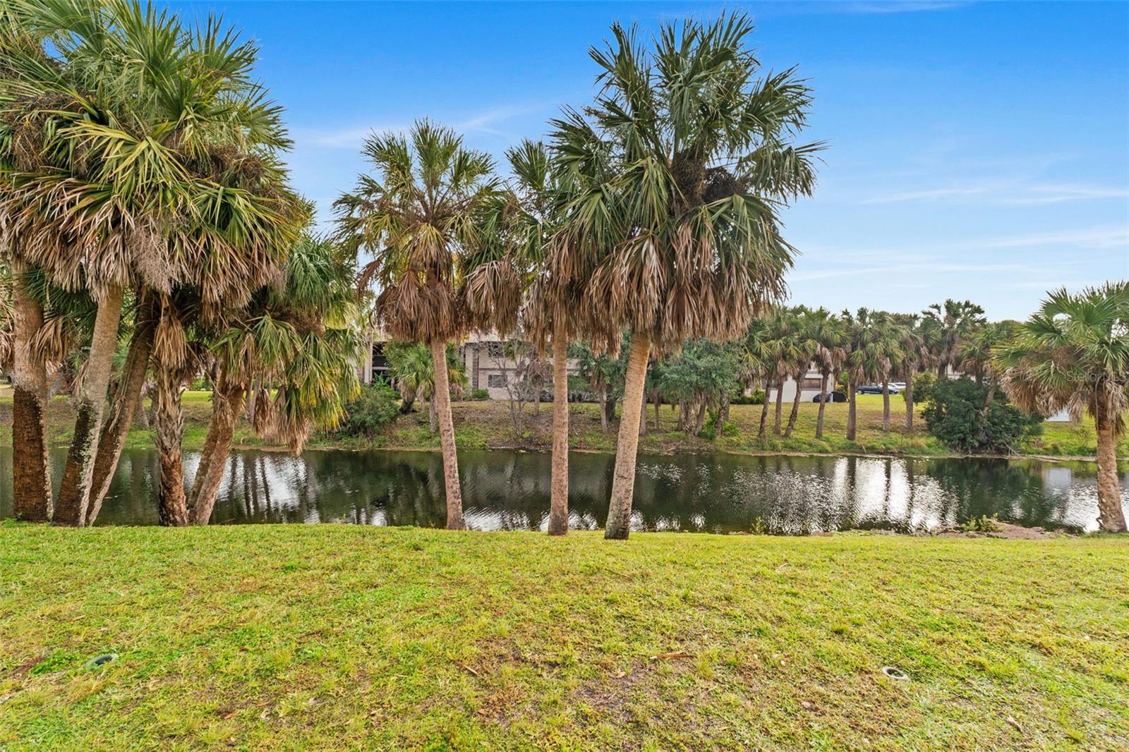 19505 Quesada Ave #s208 Property Photo 22