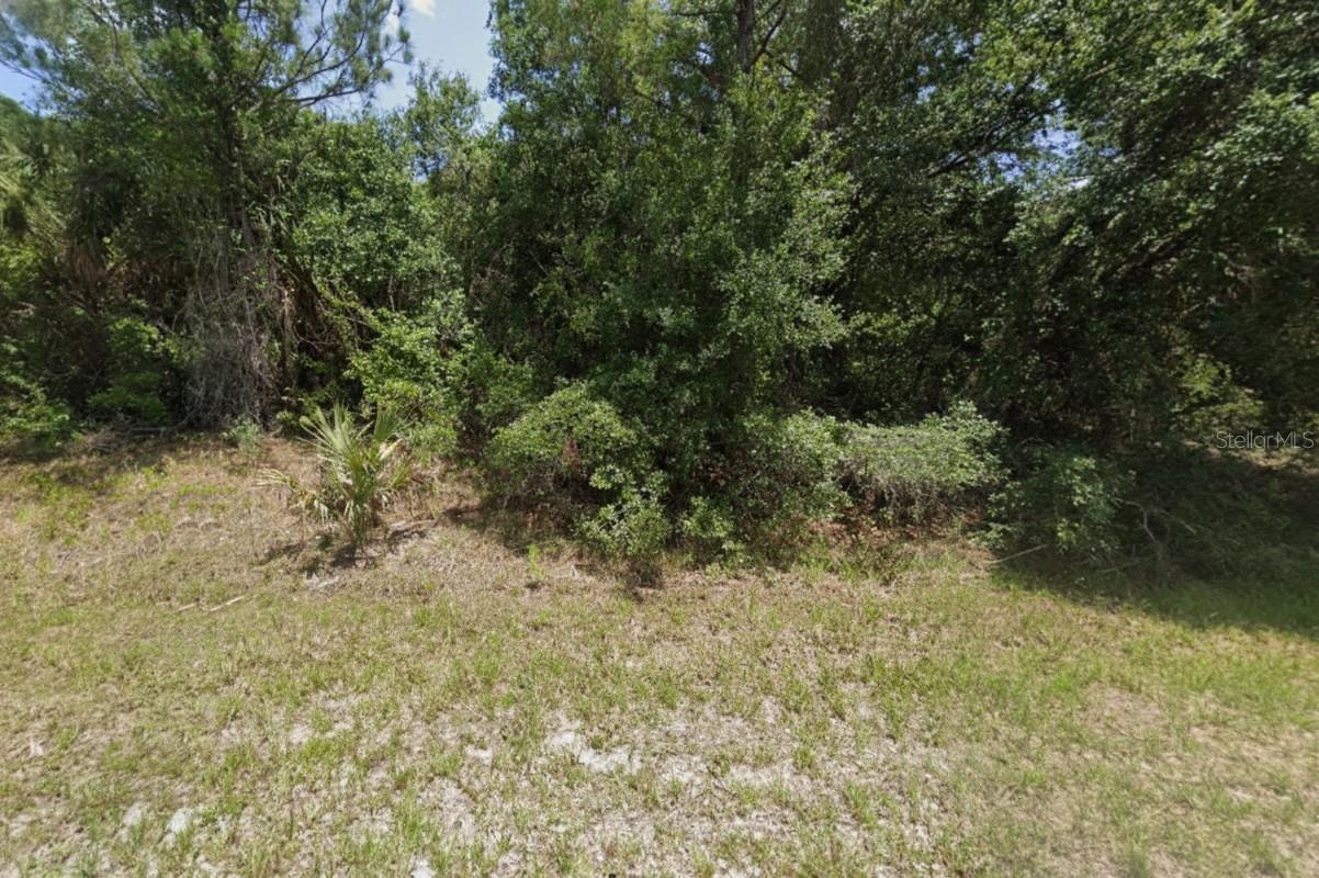 Wylam Dr Property Photo 3