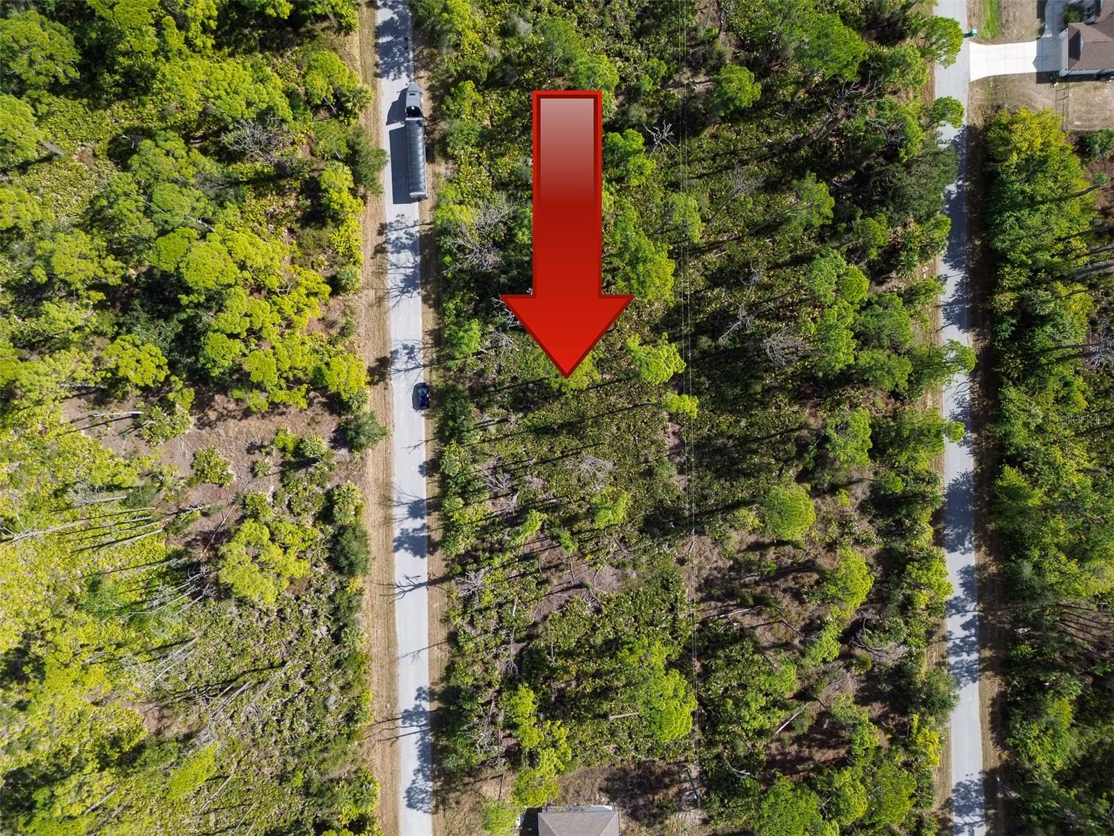 13345 Harth Ave Property Photo 3
