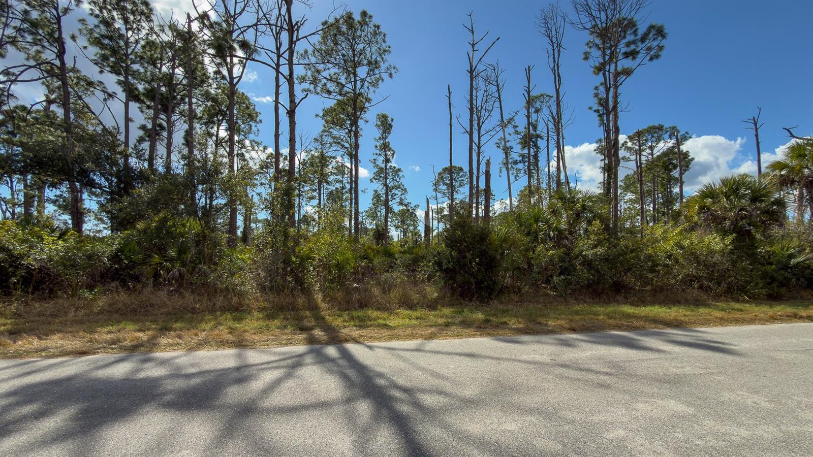 13345 Harth Ave Property Photo 7