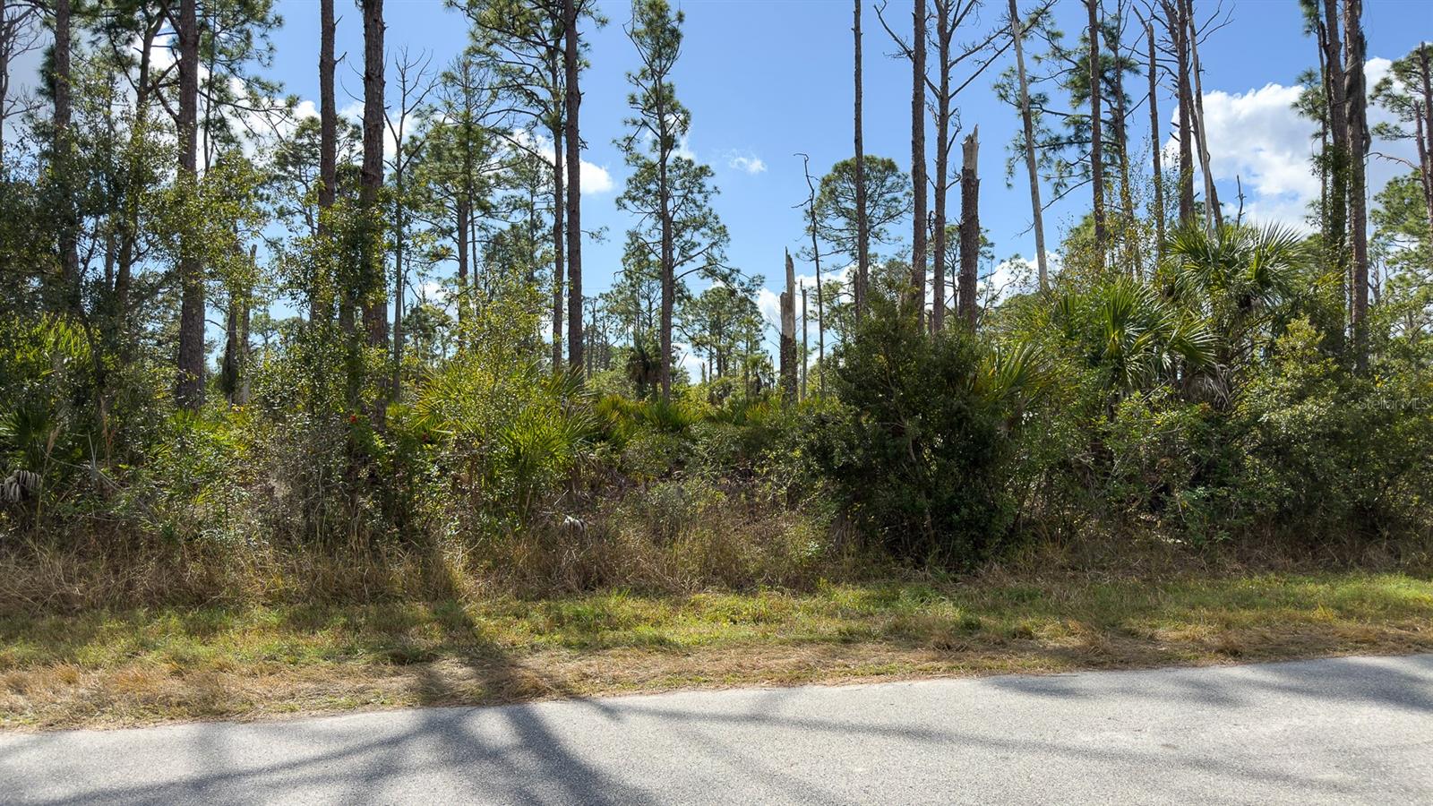 13345 Harth Ave Property Photo 9
