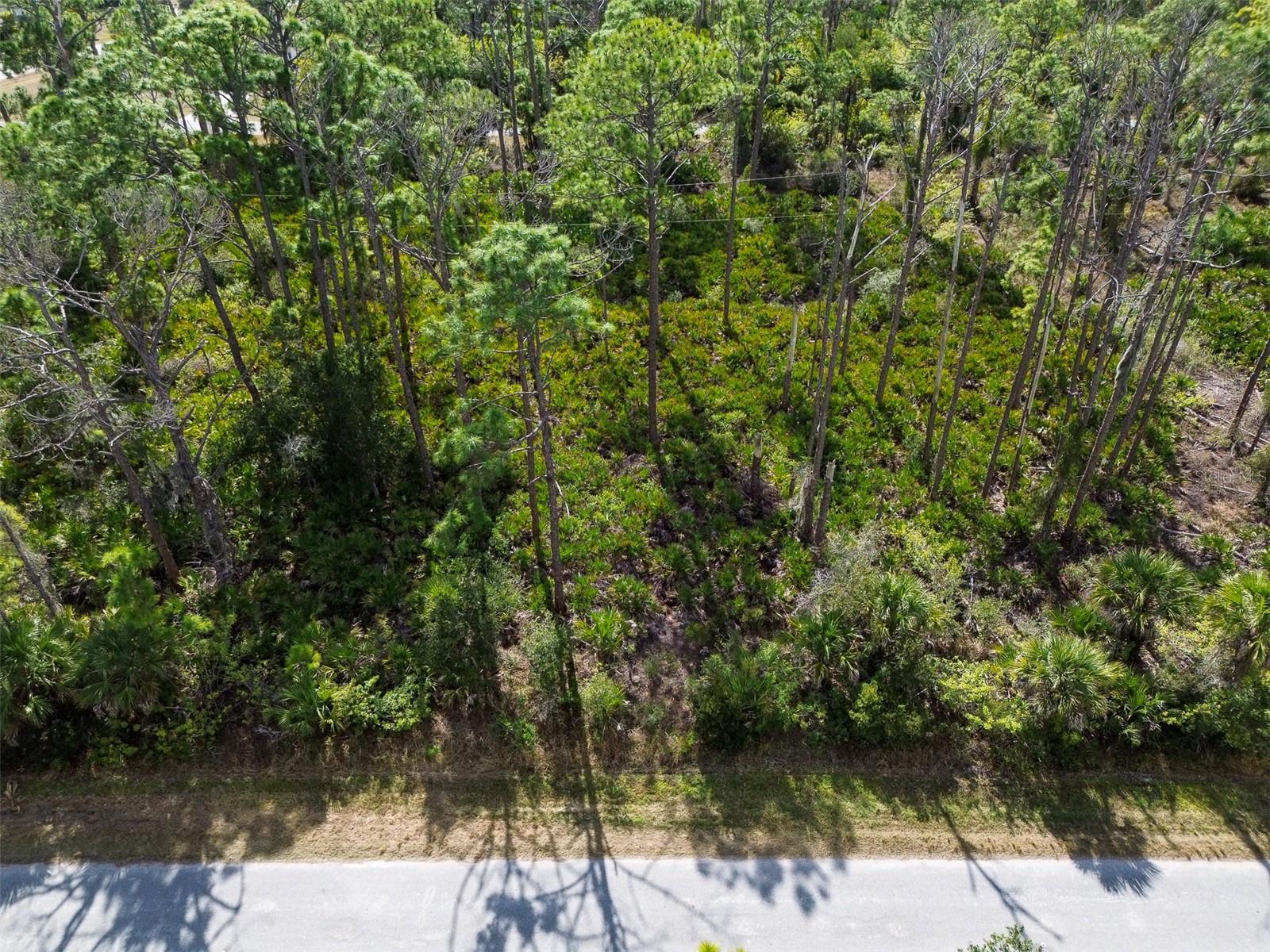 13345 Harth Ave Property Photo 10