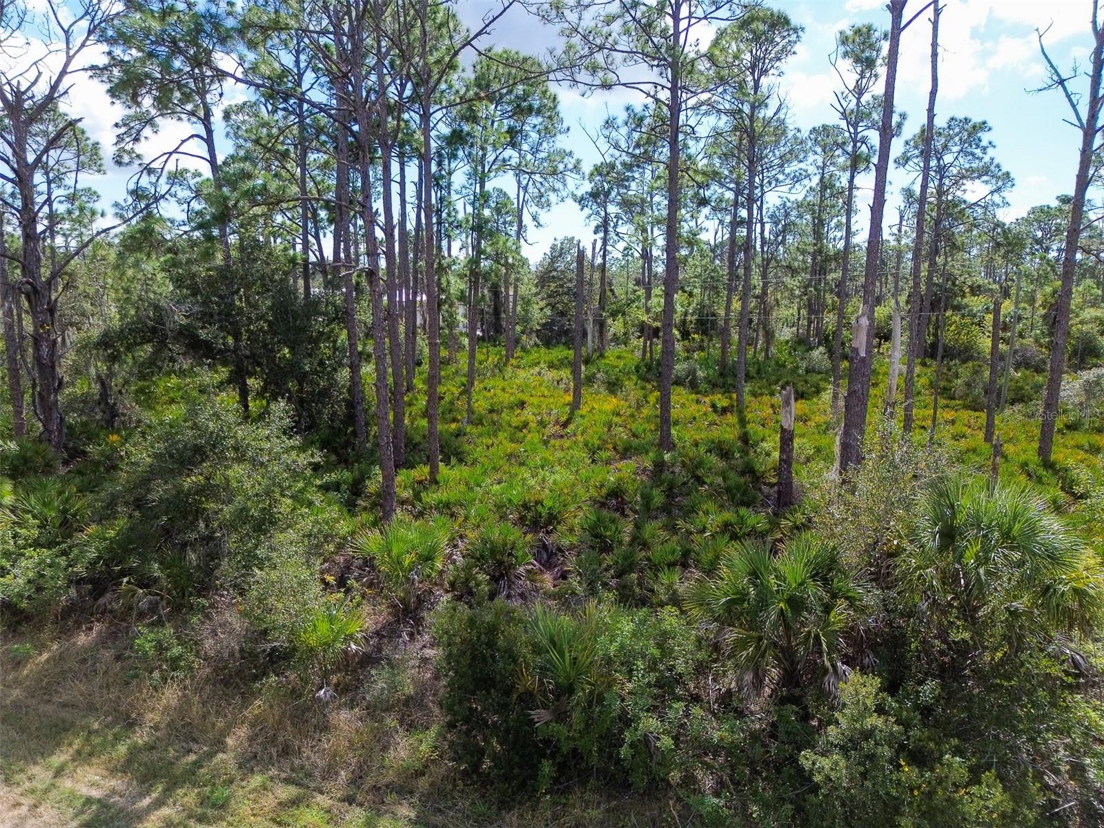 13345 Harth Ave Property Photo 12