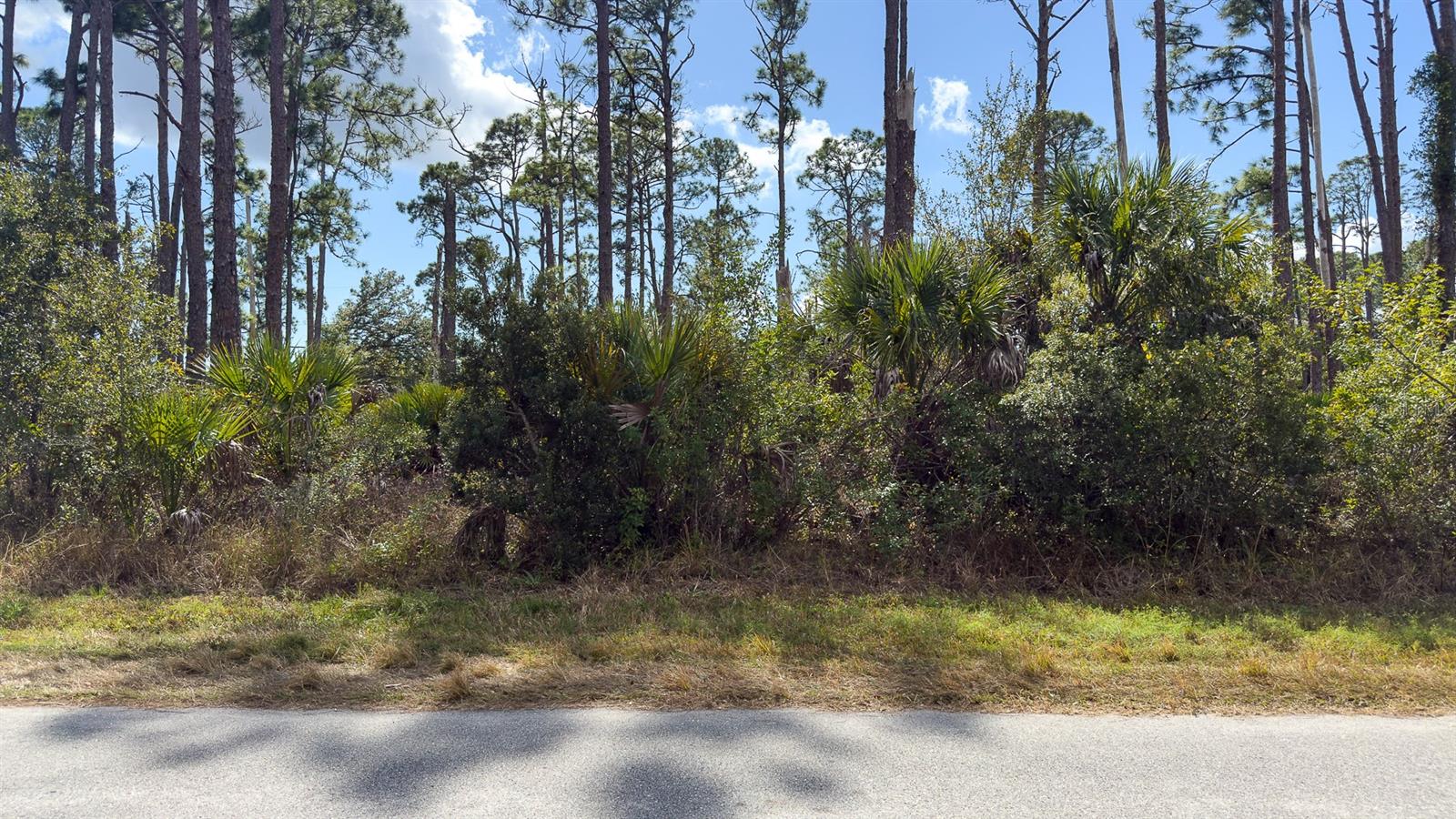 13345 Harth Ave Property Photo 13