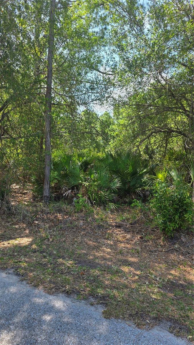 23445 Chimes Ave Property Photo 4
