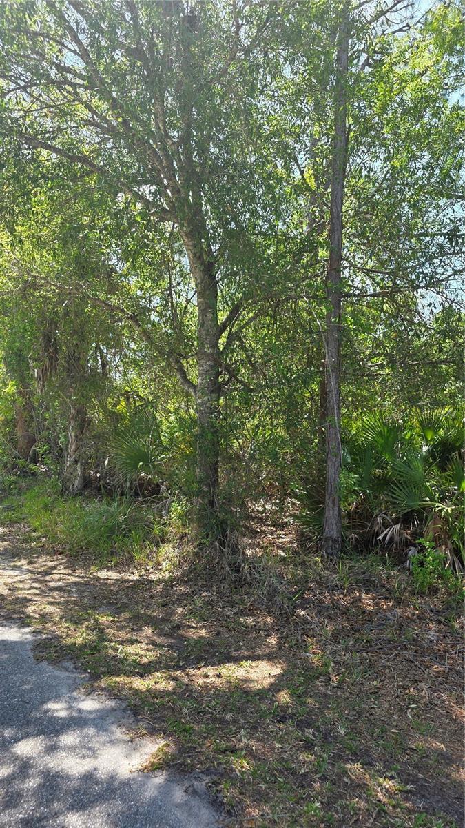 23445 Chimes Ave Property Photo 5