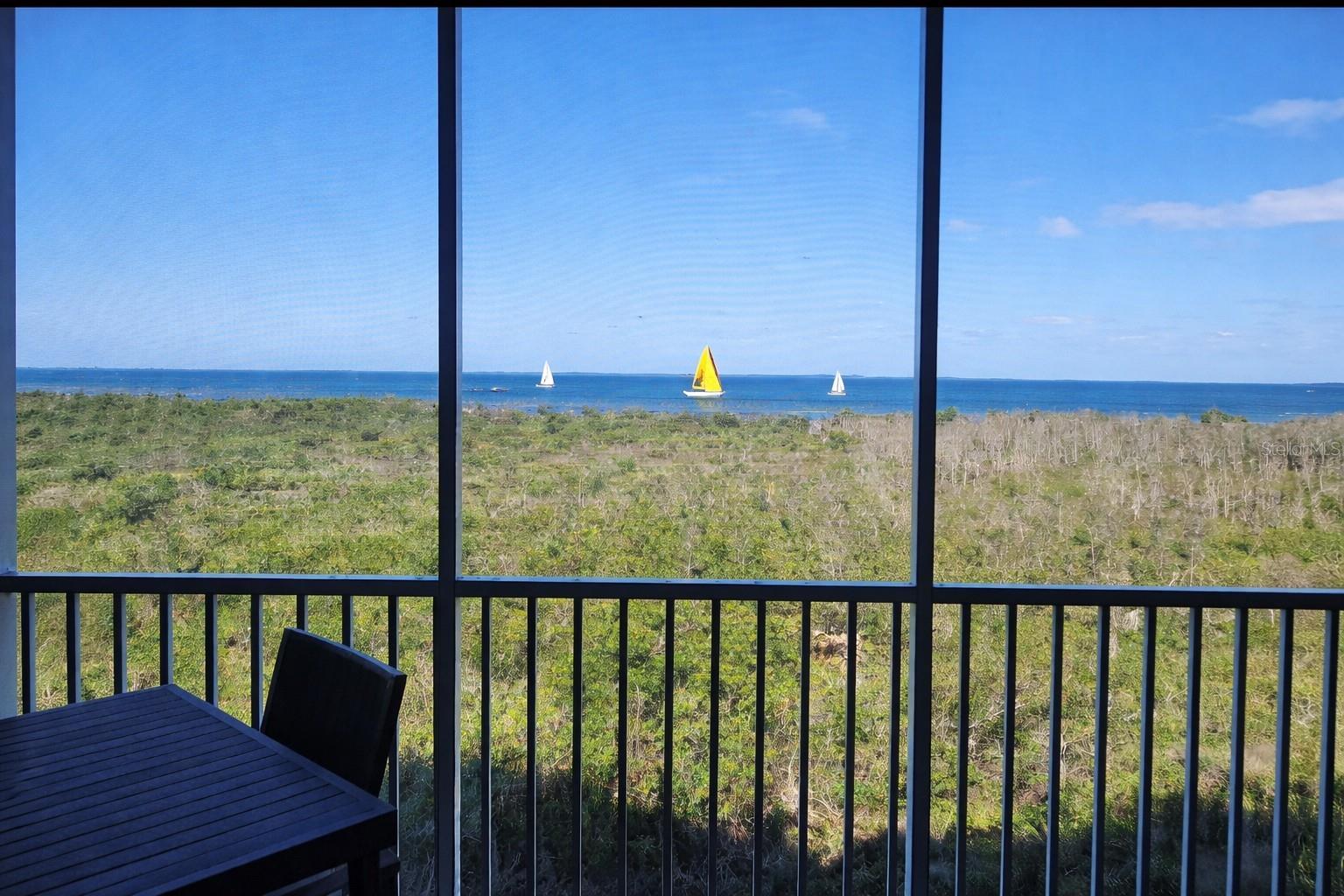3191 Matecumbe Key Rd #307 Property Photo 3