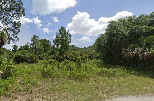Ananas Rd Property Photo 3