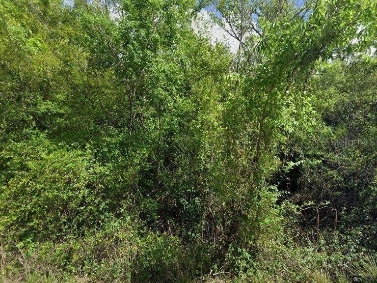 8115 Sw Horse Creek Rd Property Photo 2