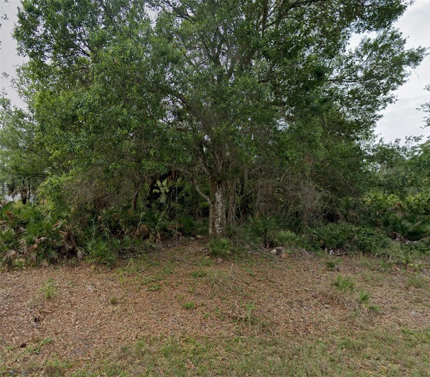 23469 WINTHROB AVE Property Photo 1