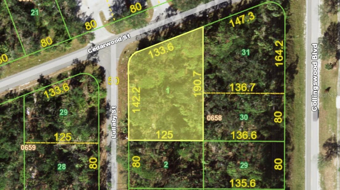1376 LULLABY ST Property Photo 1