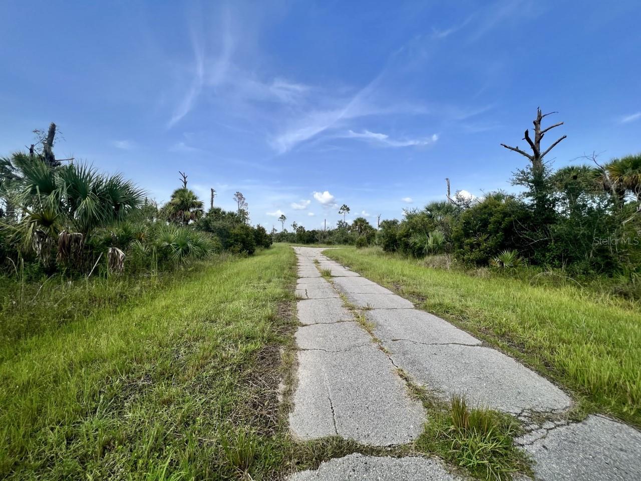 Ewen Dr Property Photo 4