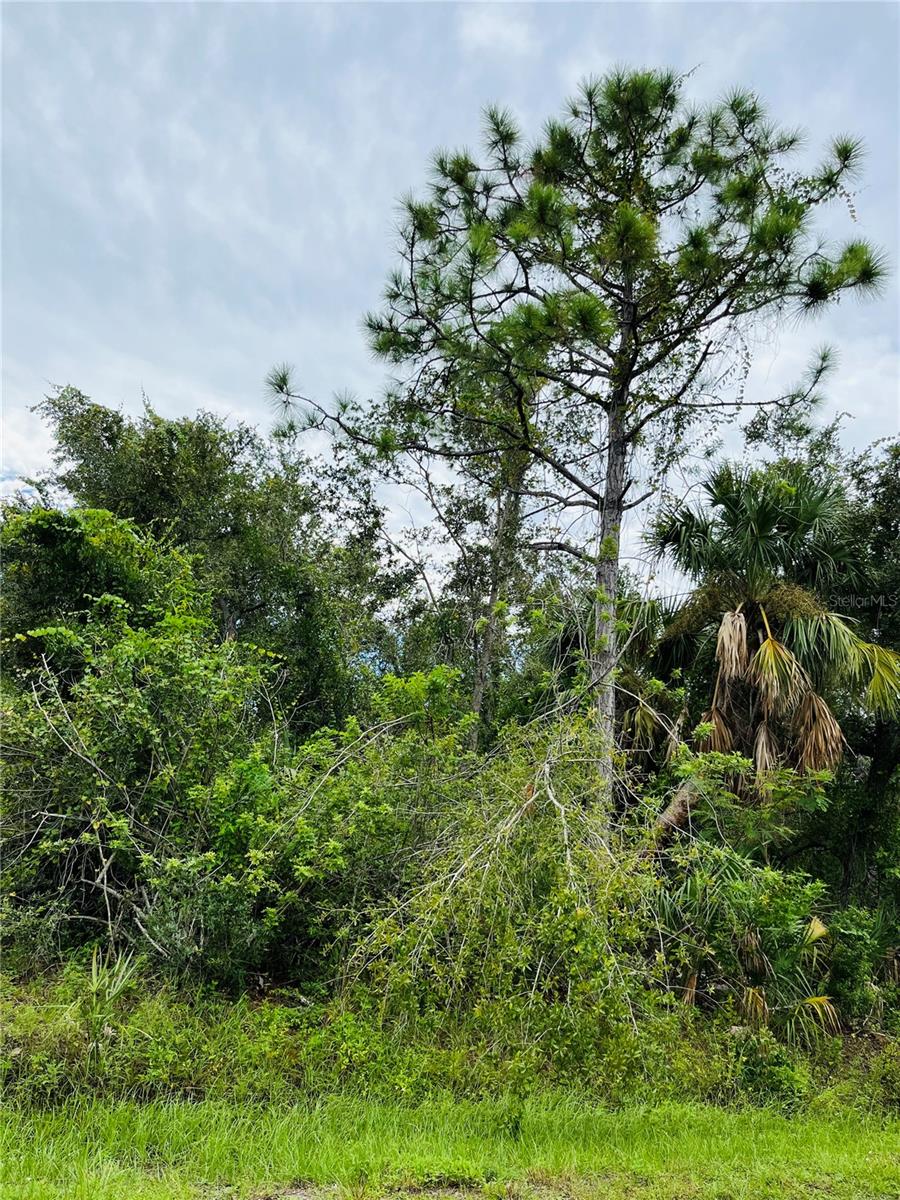 26145 Flower Rd Property Photo 6