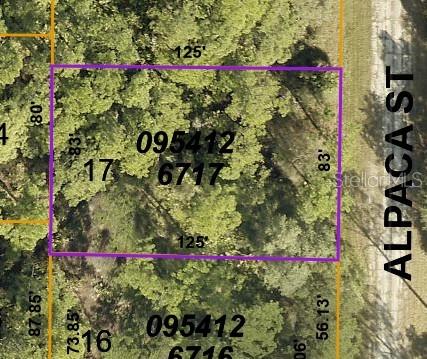 Lot 17 Alpaca St Property Photo 1