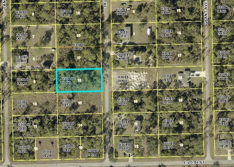 2007 Truman Ave Property Photo 6