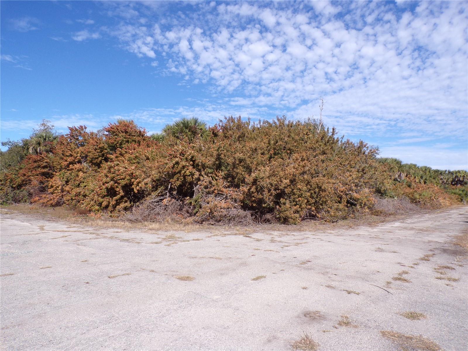 CRIMSONGLORY RD Property Photo 1