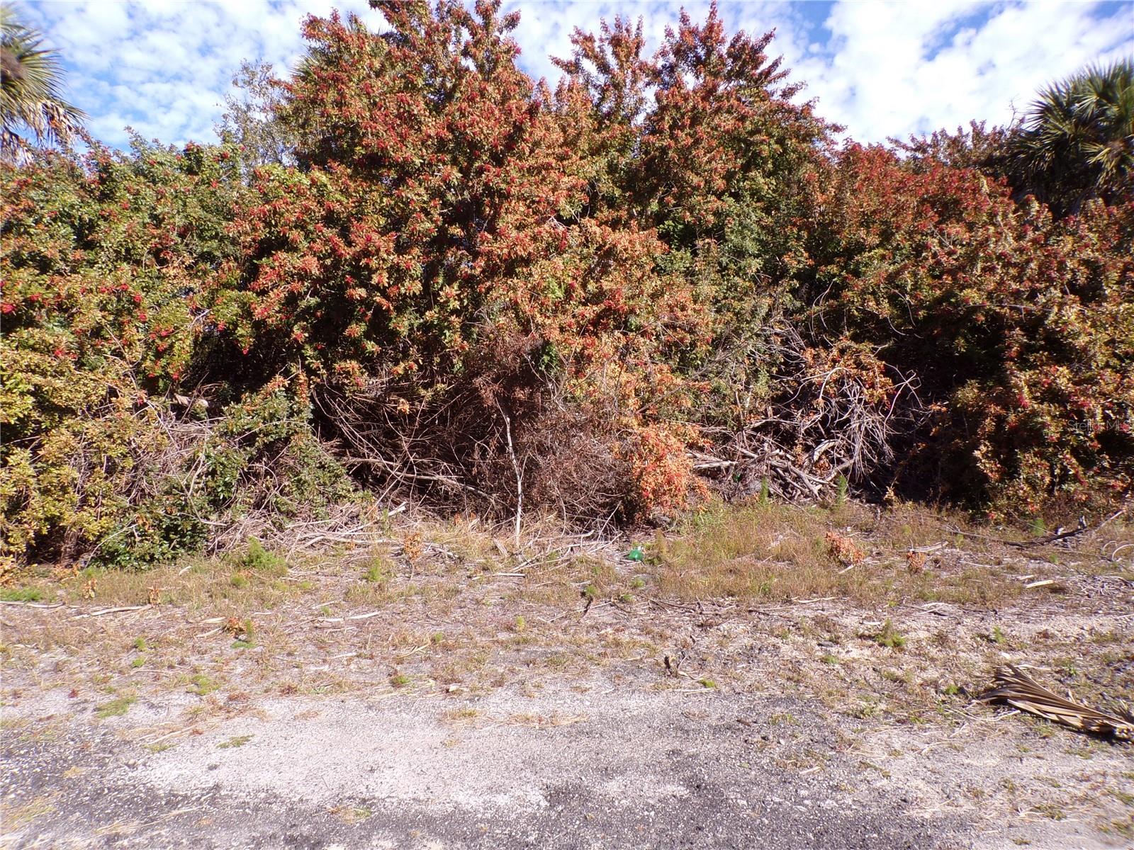 Crimsonglory Rd Property Photo 3