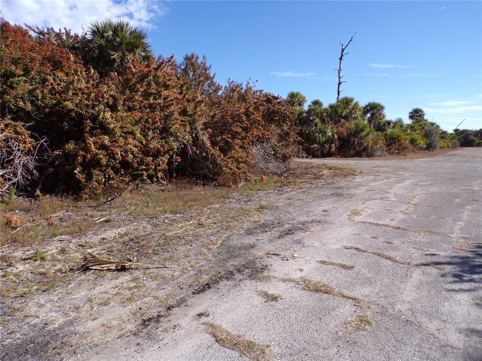 Crimsonglory Rd Property Photo 5