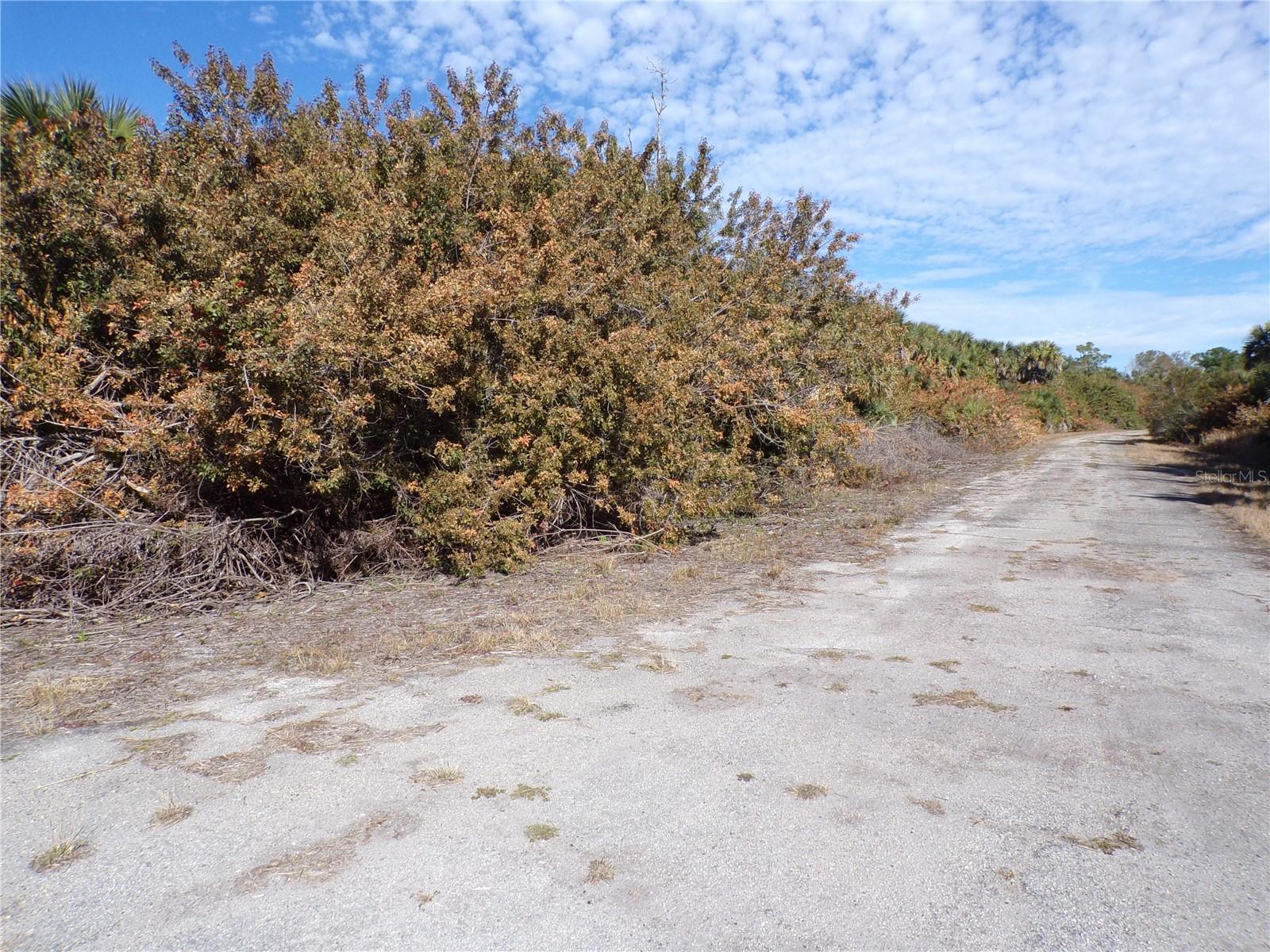 Crimsonglory Rd Property Photo 7