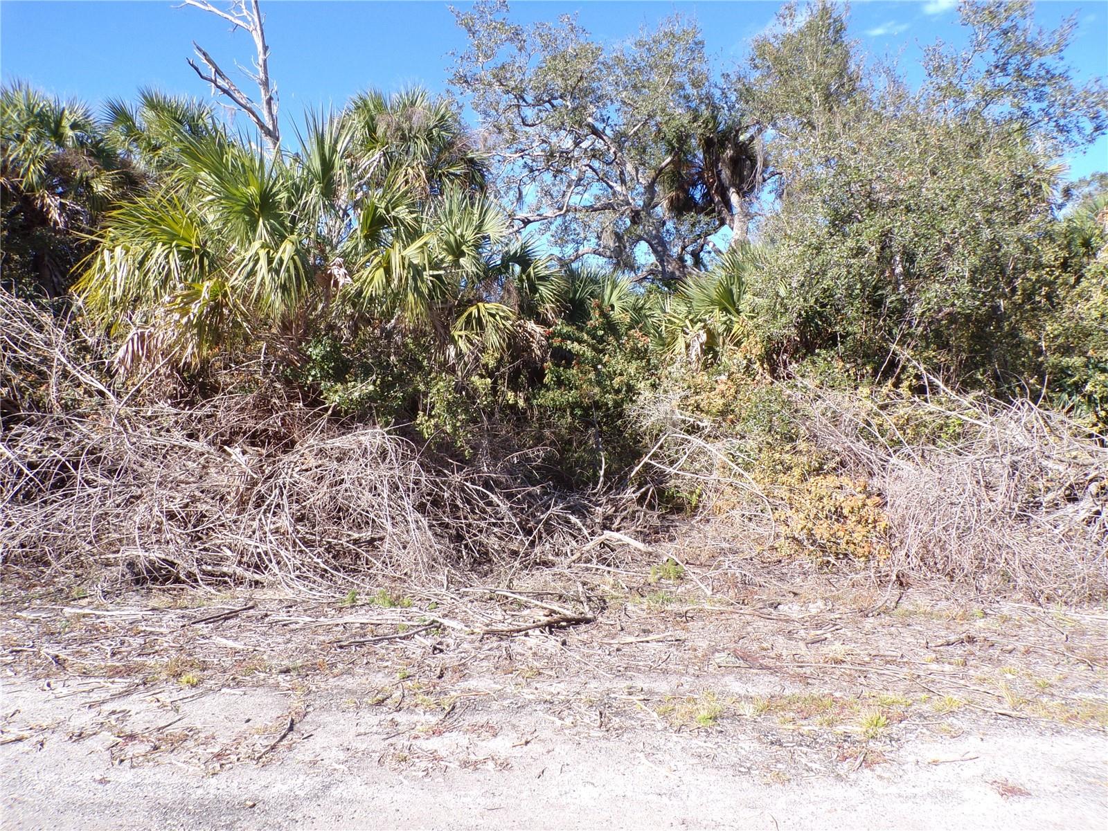 Crimsonglory Rd Property Photo 8