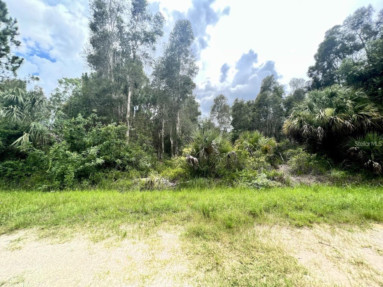 12593 GUCCI DR Property Photo 1