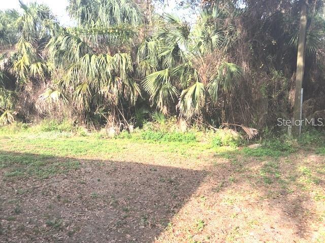 232 Bamboo Dr #a Property Photo 4