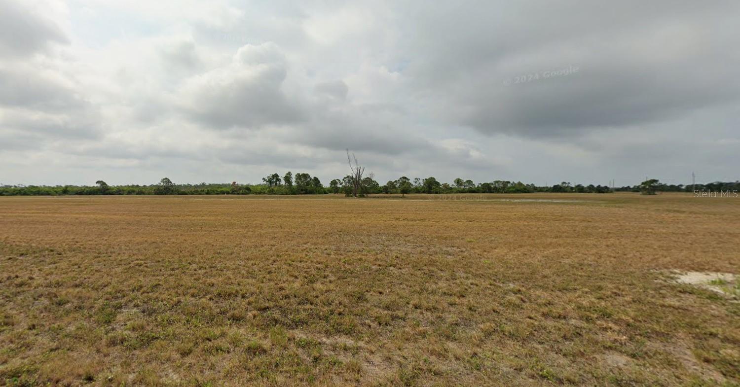 12252 TRIPLETAIL DR Property Photo 1
