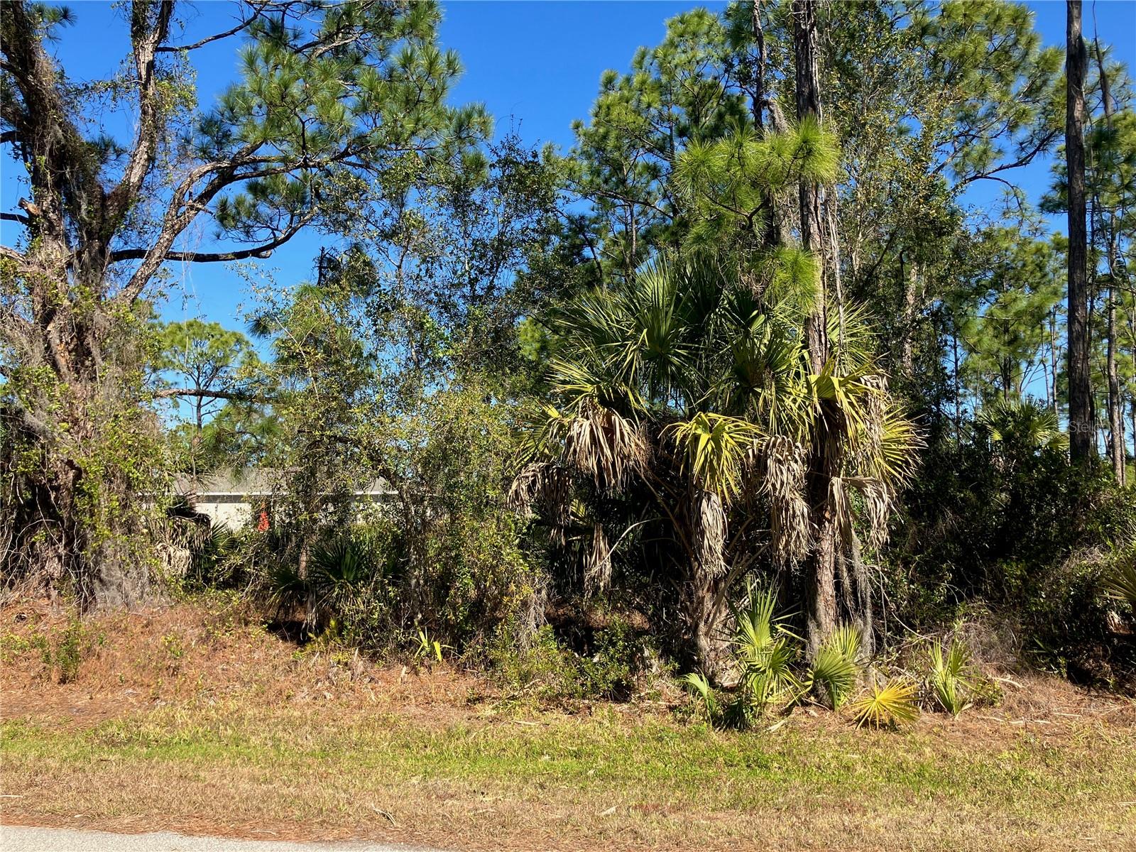 26334 Eager Rd Property Photo 6