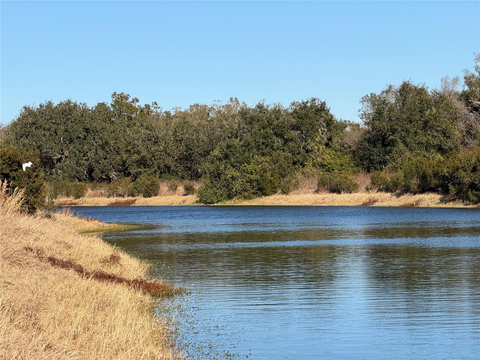 100ac Ne Hwy 17 Property Photo 3