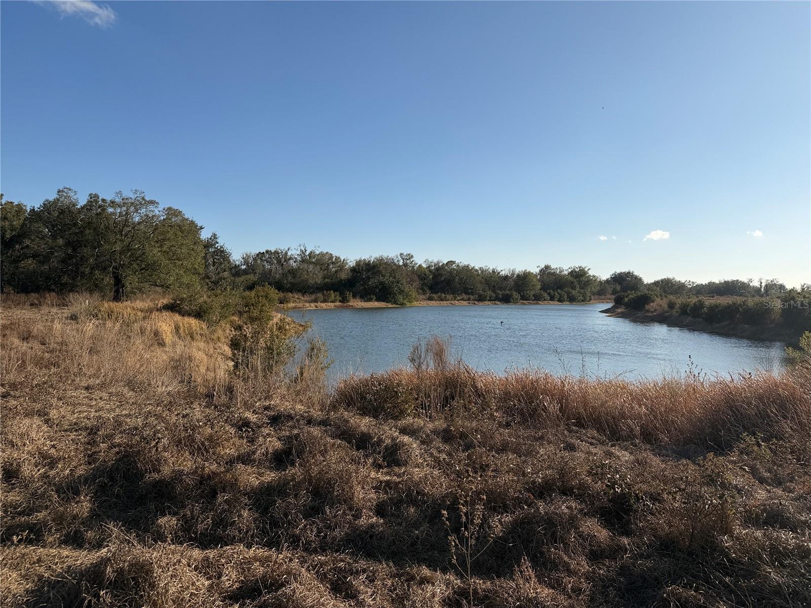 100ac Ne Hwy 17 Property Photo 8