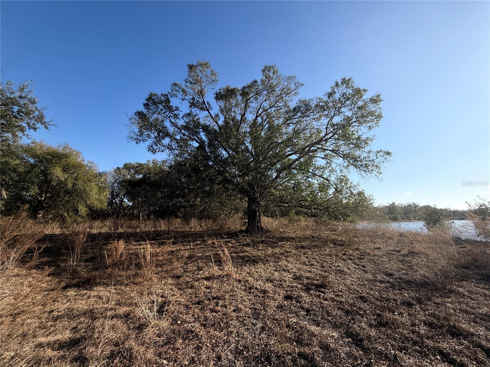 100ac Ne Hwy 17 Property Photo 10