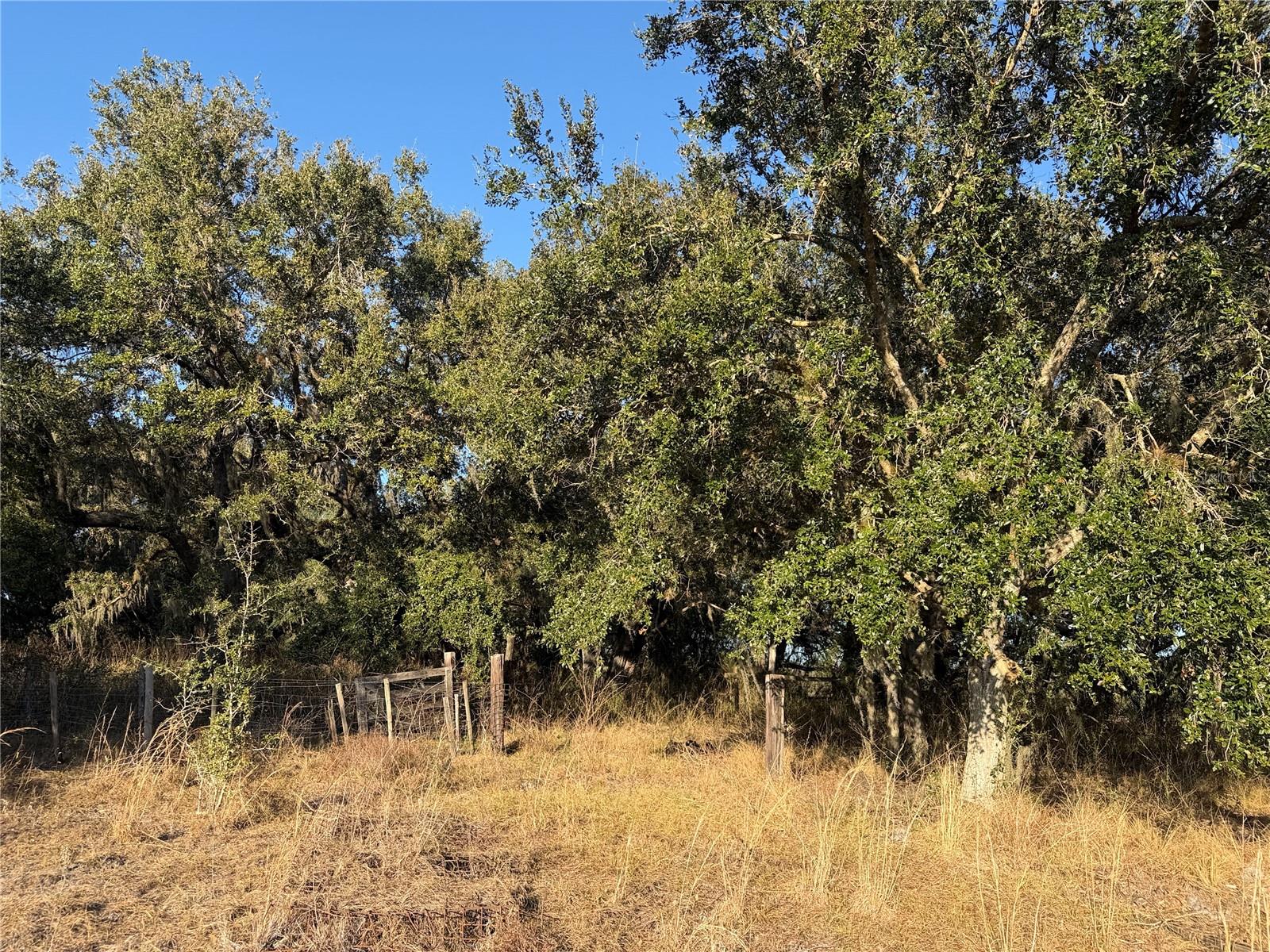 100ac Ne Hwy 17 Property Photo 13