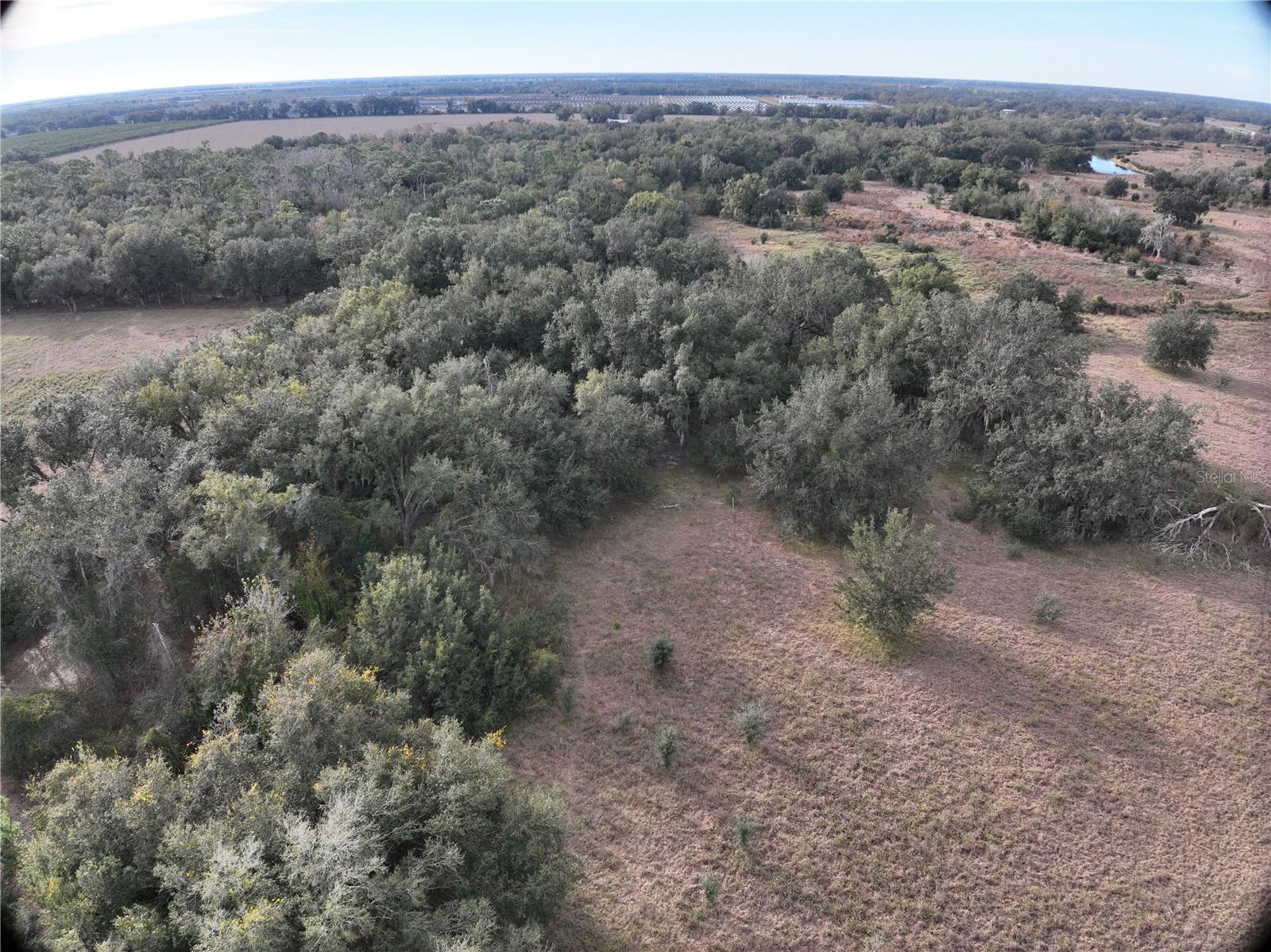 100ac Ne Hwy 17 Property Photo 21