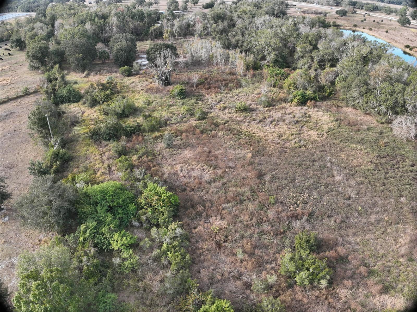 100ac Ne Hwy 17 Property Photo 22