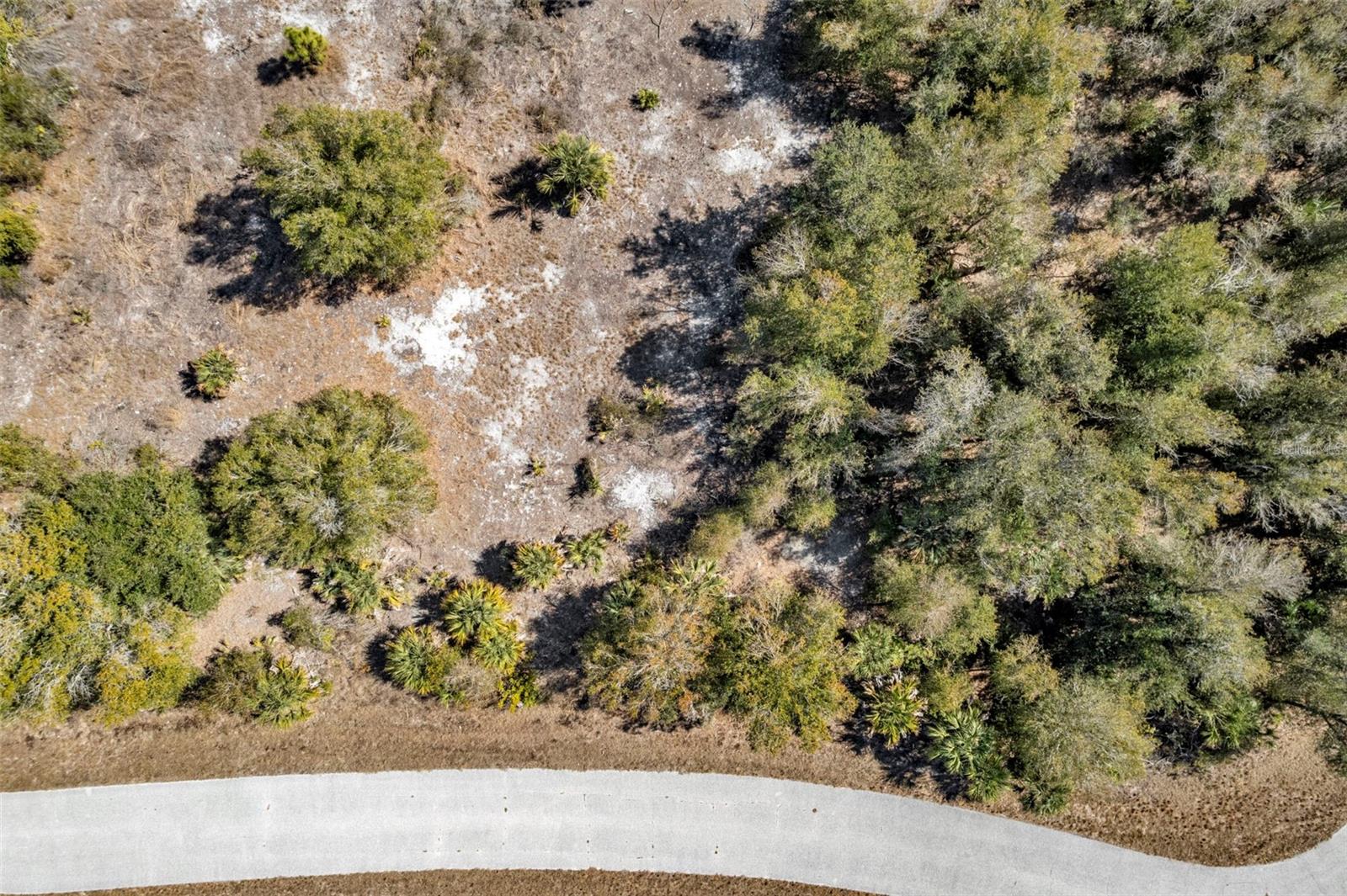 7124 Obrien Ln Property Photo 8