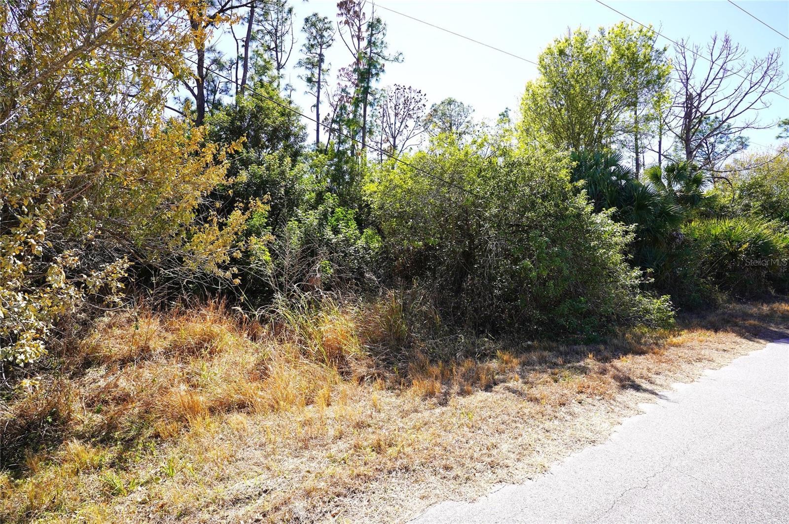 SEDBERRY AVE Property Photo 1
