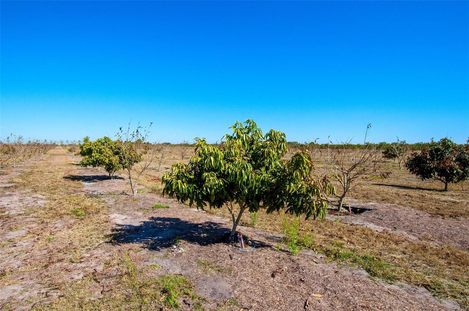 C7521768 Property Photo 9