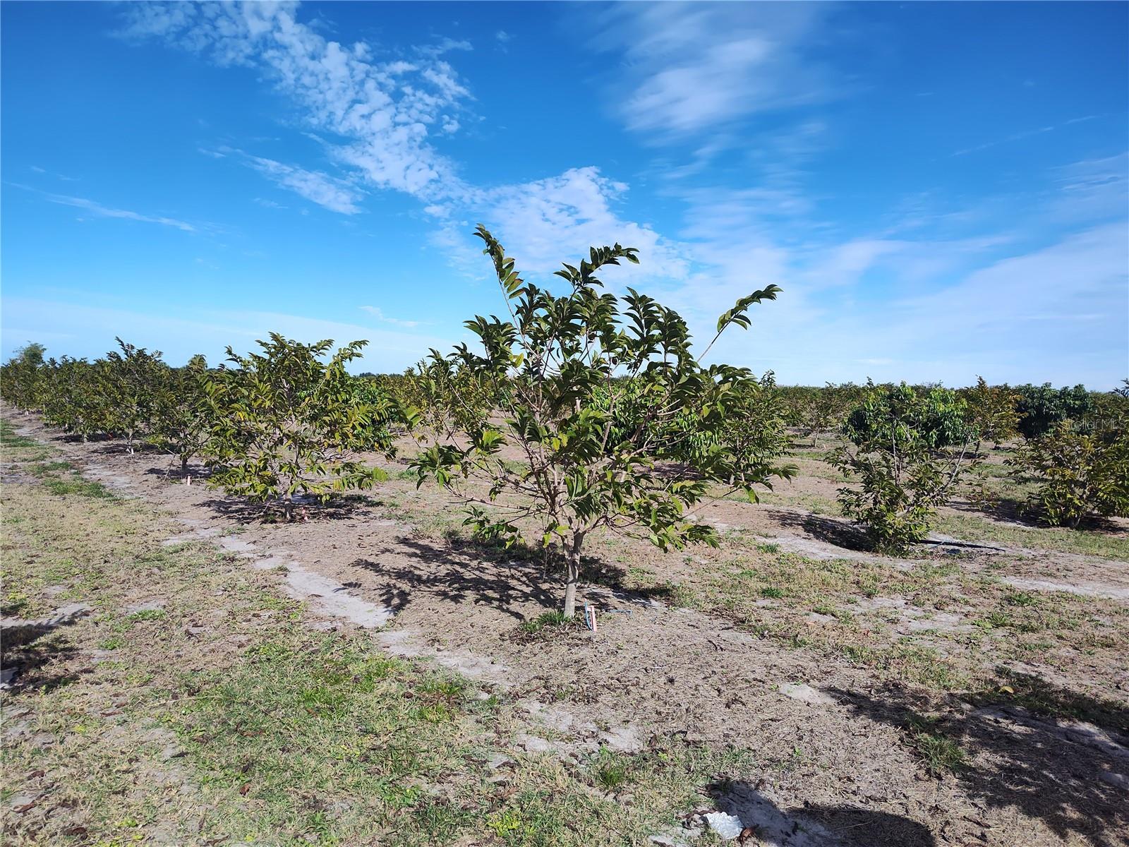 C7521768 Property Photo 10