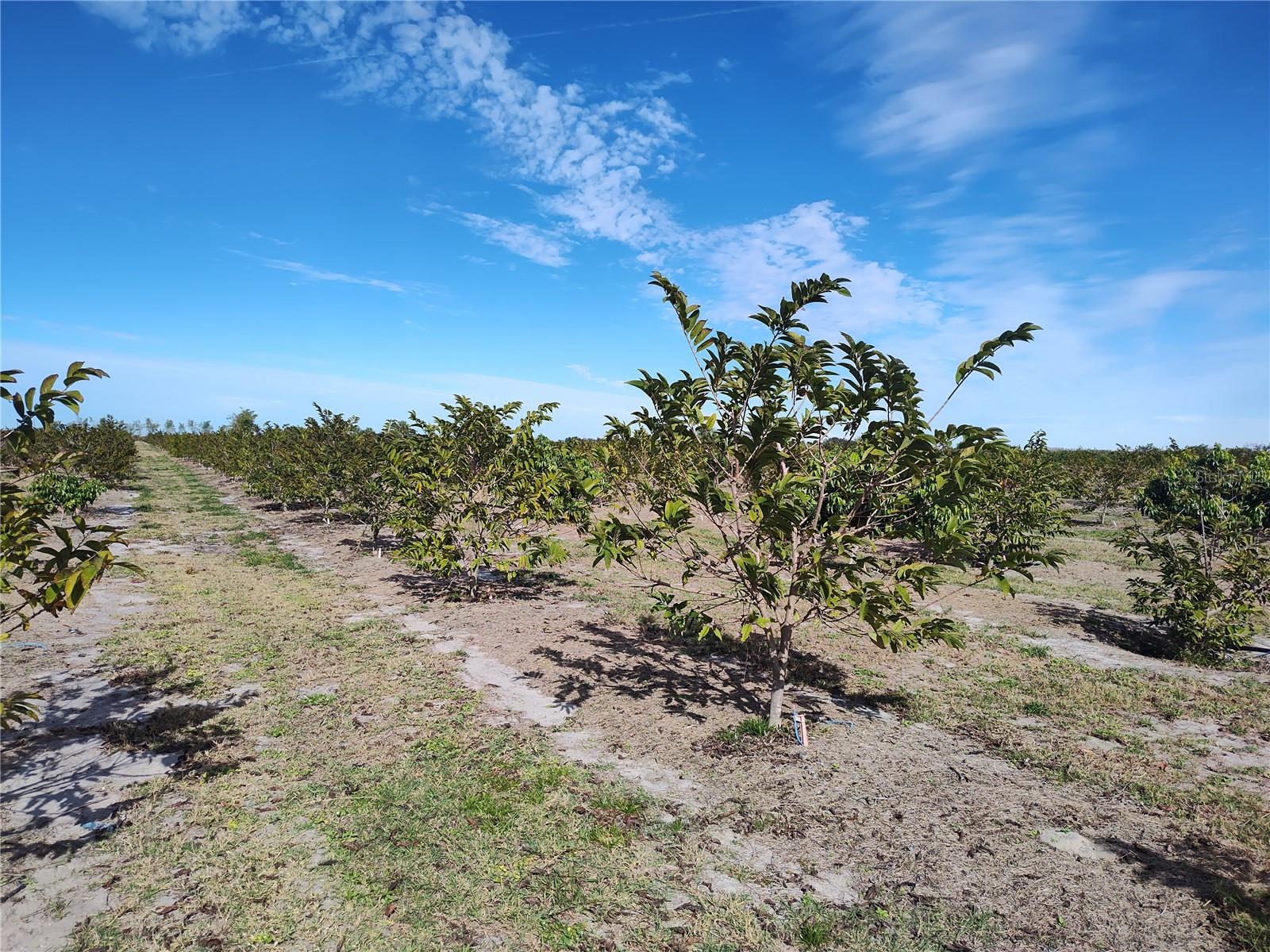 C7521768 Property Photo 11