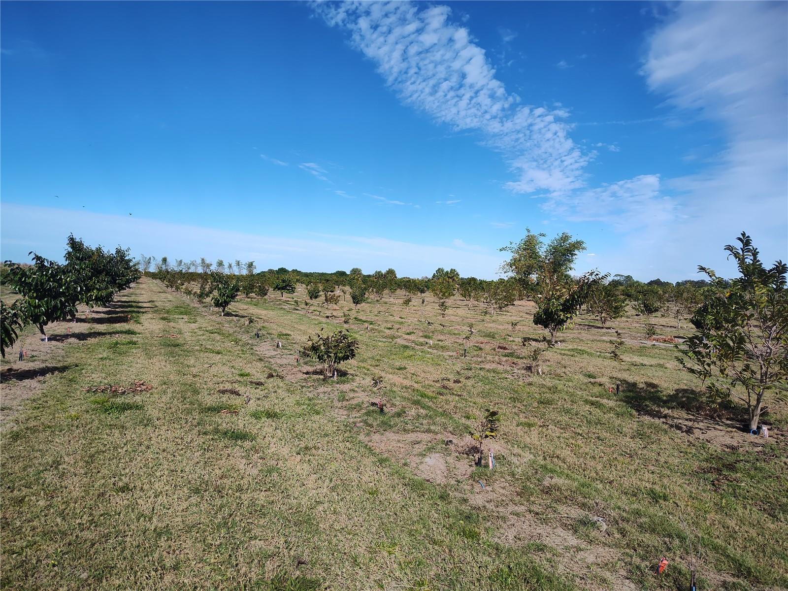 C7521768 Property Photo 16